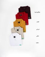 تیشرت مردانه رنگی